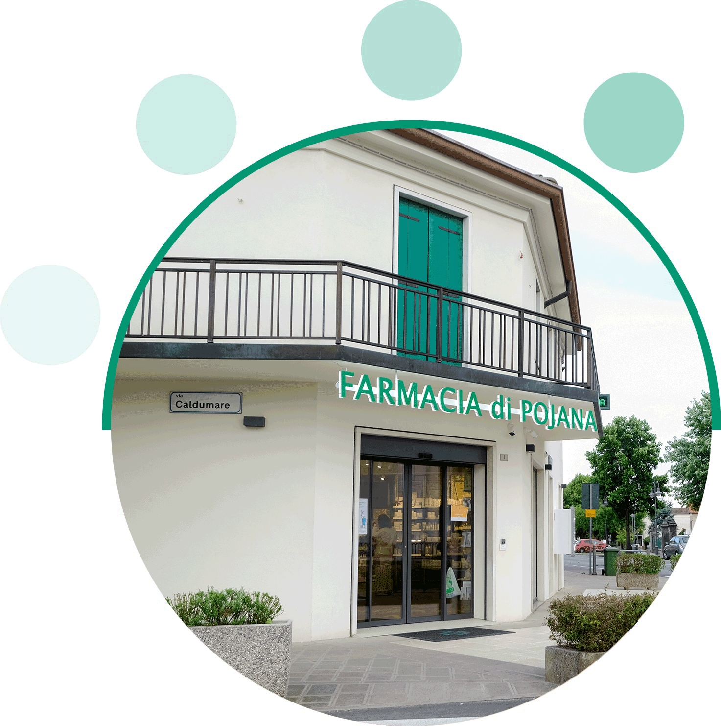 dottoressa Maria Vigo