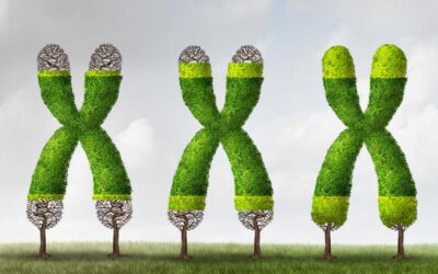 Qual è la tua BioAge? GEK Lab
